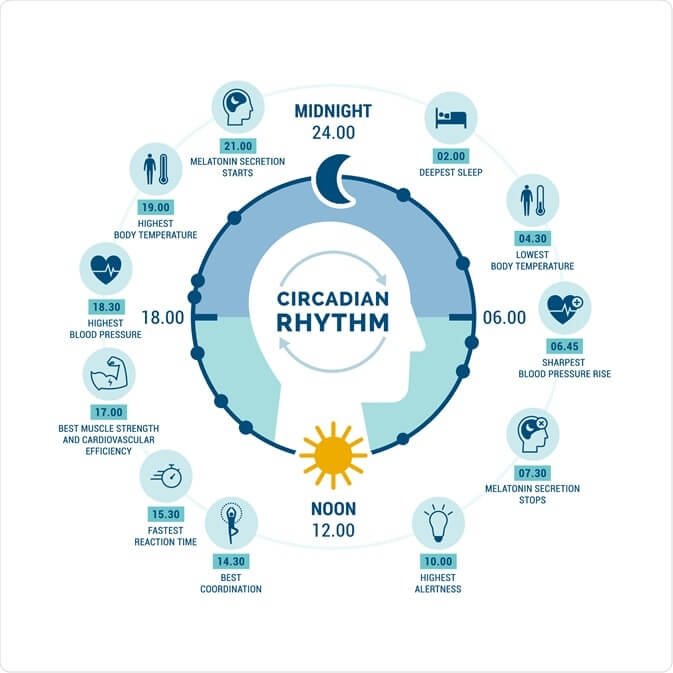 Circadian Rhythm Metabolism