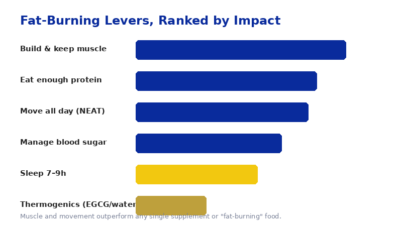 Chart ranking the levers that affect fat burning by impact